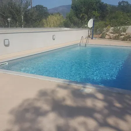Vecchio